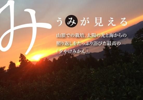 予約販売・割引中!】甘平 2㎏(ご家庭用)※2月上旬より順次発送開始 ...