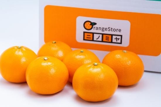 予約販売・割引中！】せとか 2㎏（ご家庭用）※2月下旬より順次
