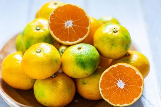 予約販売中！】 極早生みかん（3㎏～10㎏） ※10月上旬より順次発送開始