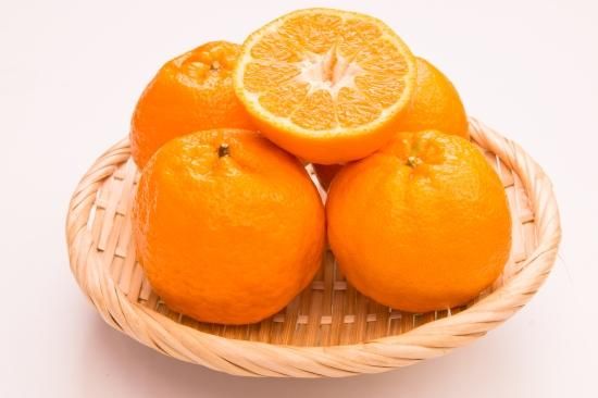愛媛県産「訳ありポンカン」約4kgの通販｜Kuradashiでフードロス