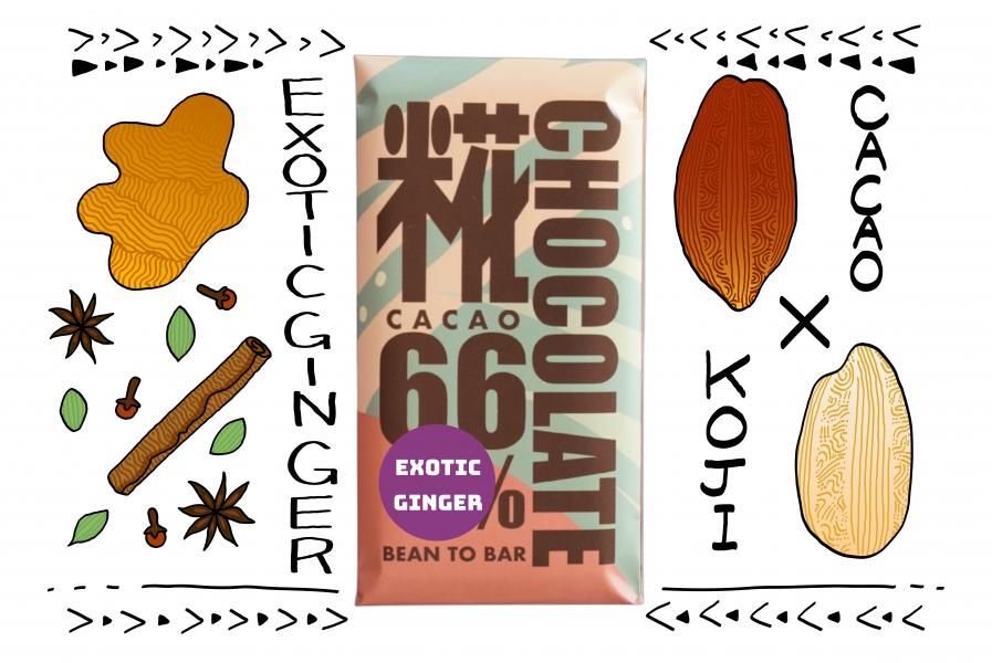 BEAN TO BAR CHOCOLATE EXOTIC GINGER