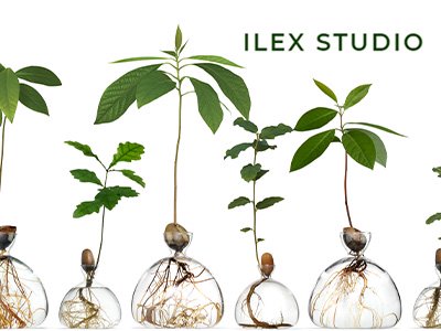  ILEX STUDIO | UK