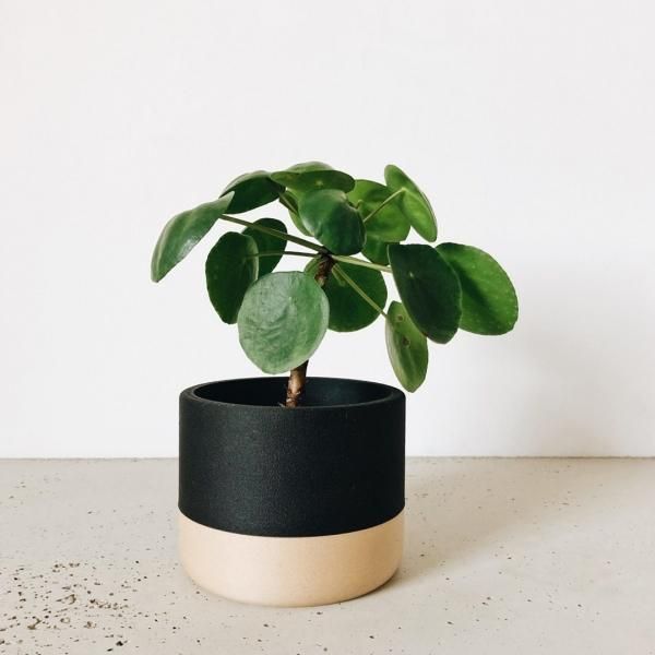 MINIMUM DESIGN | ツートンプランター2個セット - ローガンアトリエ