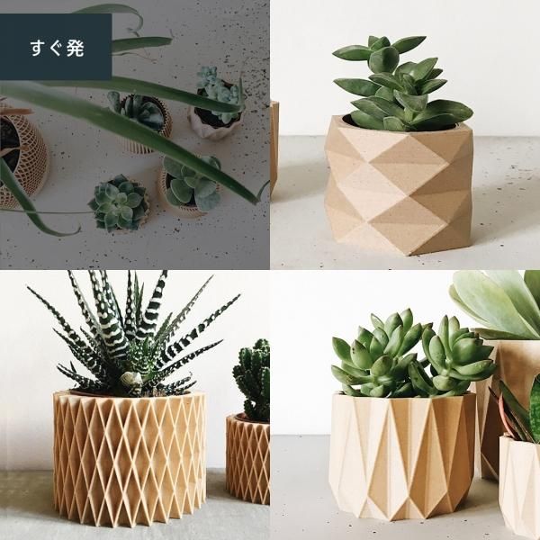 atelier coin / アトリエ コワン NEUTRAL SILVER atelier coin / アトリエ コワン NEUTRAL SILVER