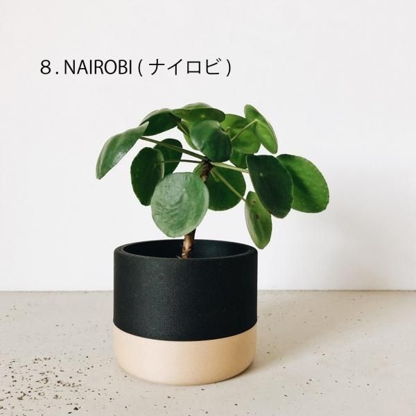 鉢・プランター gaokun013 山善 プランター ガーデンプランター カラフル スチール製 花壇