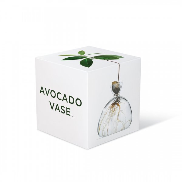 ILEX STUDIO | Avocado Vase - ローガンアトリエ