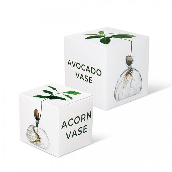 【avocado先生】 ILEX STUDIO | Avocado Vase - ローガンアトリエ