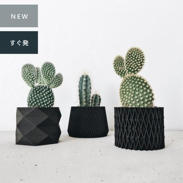 MINIMUM DESIGN | 内径5.5cm ブラックエボニー プランター3個 MINIMUM DESIGN | 内径5.5cm ブラックエボニー プランター3個