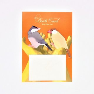 菊地絢女 BIRD CARD ブンチョウB