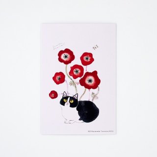aya nariai ݥȥ anemone-RED