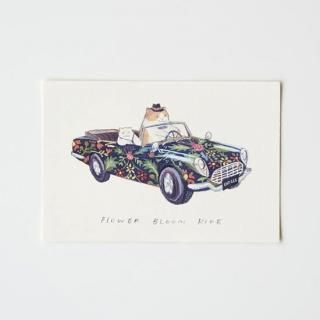  FLOWER BLOOM RIDE ݥȥ