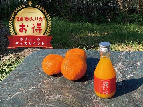4月の🍊季節の柑橘詰め合わせ5キロ | 柑橘直送 YAJIMA農園