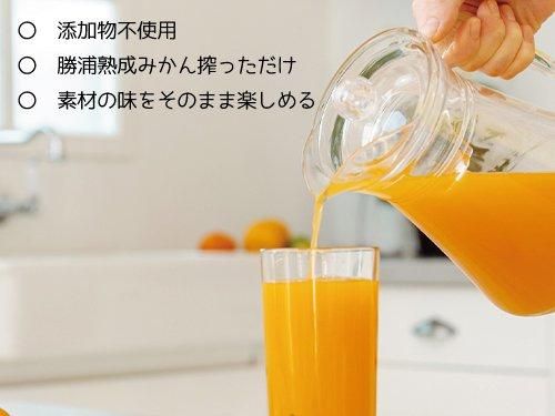 勝浦産みかんジュース|ストレート - 道の駅ひなの里かつうら 勝浦産みかんジュース|ストレート - 道の駅ひなの里かつうら