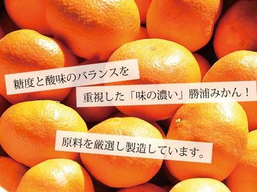 勝浦産みかんジュース|ストレート - 道の駅ひなの里かつうら 勝浦産みかんジュース|ストレート - 道の駅ひなの里かつうら