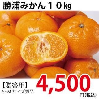 Ĺ<br>ߤ10ԡ£ѡ<br>11ܤ缡ȯ<br>SM<br/>