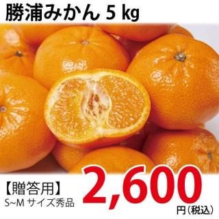 Ĺ<br>ߤ󣵭ԡ£ѡ<br>11ܤ缡ȯ<br>S~M<br/>