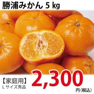 Ĺ<br>ߤ󣵭ԡڲѡ<br>11ܤ缡ȯ<br>L<br/>