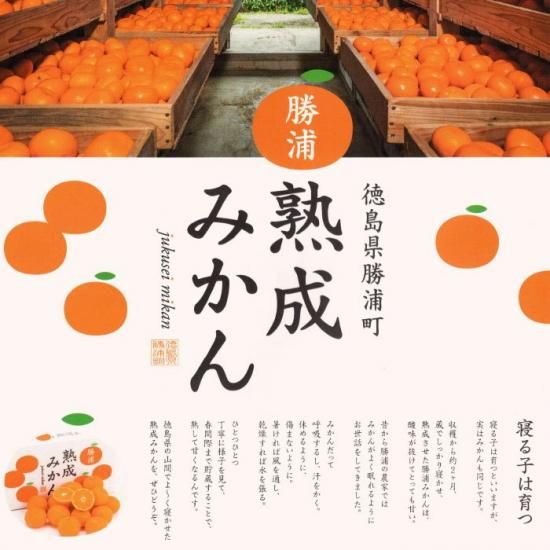 勝浦みかんジュレ | 贅沢果汁60％ - 道の駅ひなの里かつうらオンライン