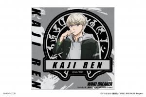 TV˥WIND BREAKER PCƥå  ϡ