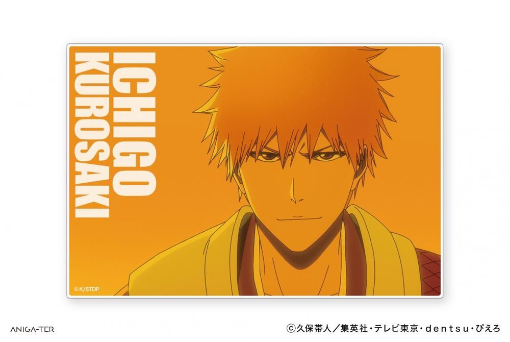 希少 BLEACH 千年血戦篇 JF 2枚重ね カラーアクリルアート 護廷十三隊 BLEACH | あるじゃんマーケット