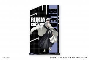 TV˥BLEACH ǯӡ ꡼ ڥ륭