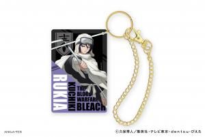 TV˥BLEACH ǯӡ Хå㡼 ڥ륭