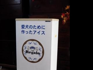  <img class='new_mark_img1' src='https://img.shop-pro.jp/img/new/icons24.gif' style='border:none;display:inline;margin:0px;padding:0px;width:auto;' />ǥ ڥå ưǧѤ ϿŸ   G  B451