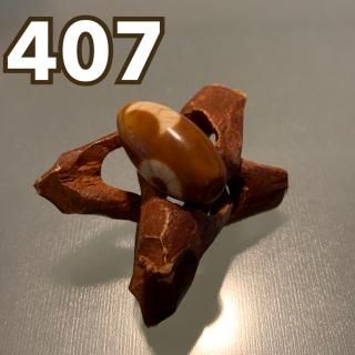 407ۻդ 