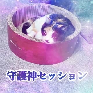 ߥ楫͡å