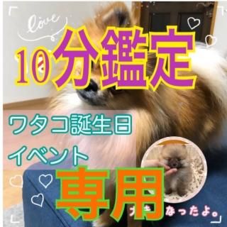 ʤ͡10ʬꥤ٥