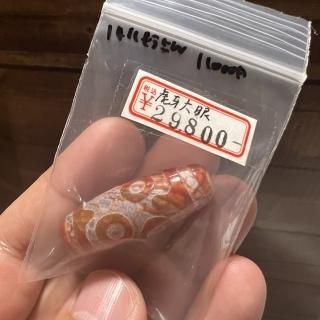 ϥ륭͡11,000ߤ
