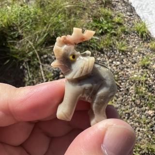 䥹͡ץȡ󡡾ݤ󡡥ѥ