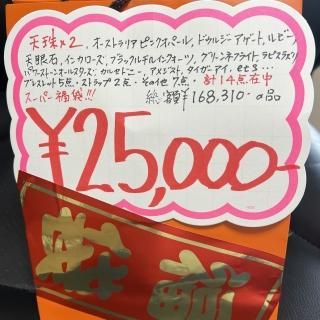 25,000ʡ