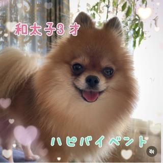 ami͡򥳡