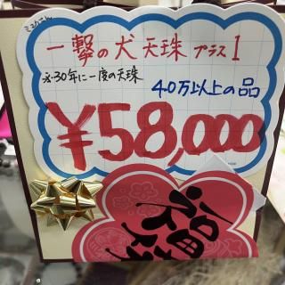ߥ楫͡ʡ
