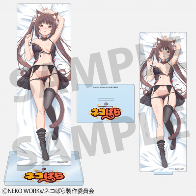 TV˥֥ͥѤץ祳 륹B<img class='new_mark_img2' src='https://img.shop-pro.jp/img/new/icons53.gif' style='border:none;display:inline;margin:0px;padding:0px;width:auto;' />