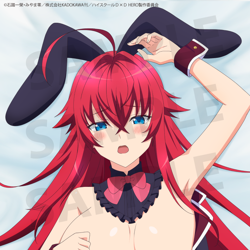 プレシャスメモリーズ　リアスグレモリー　SR ホロ　ハイスクールd×d HERO POP UP PARADE ハイスクールD×D HERO リアス・グレモリー L size
