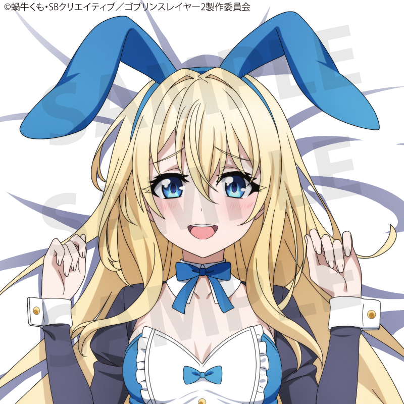 TVアニメ「ゴブリンスレイヤーⅡ」 女神官 抱き枕カバー