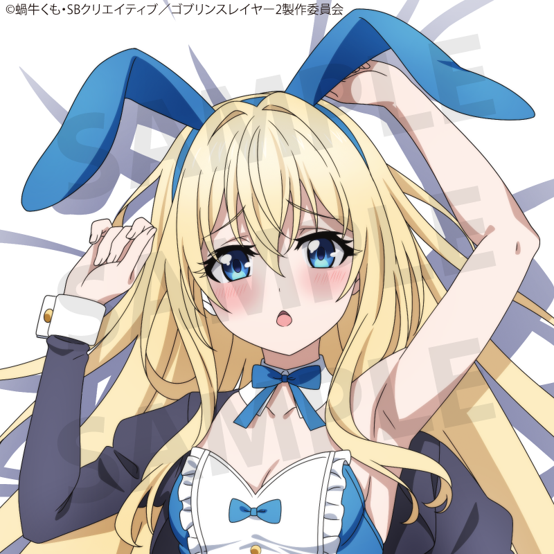 TVアニメ「ゴブリンスレイヤーⅡ」 女神官 抱き枕カバー