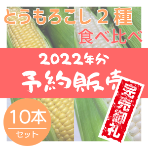 【2022年分】とうもろこし２種 食べ比べおまかせセット(10本)