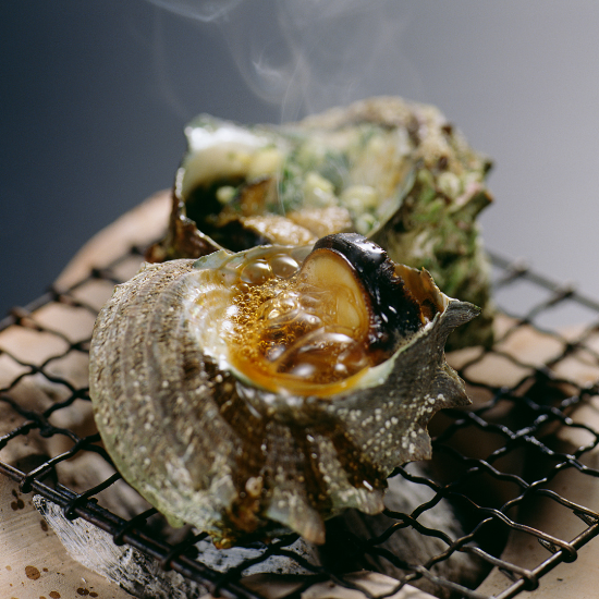 天然 活 サザエ 3kg入 - かにかに家 ーかにと魚の直売店ー
