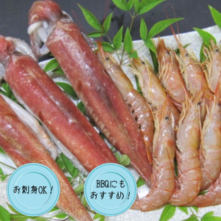 ֥Ӥ򥤥ε͹礻<img class='new_mark_img2' src='https://img.shop-pro.jp/img/new/icons27.gif' style='border:none;display:inline;margin:0px;padding:0px;width:auto;' />