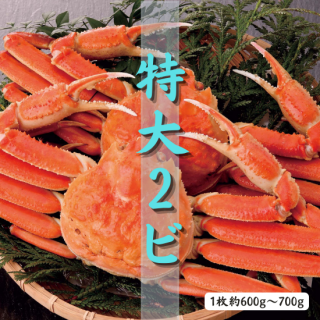 7Ǥ襤 2ӥå