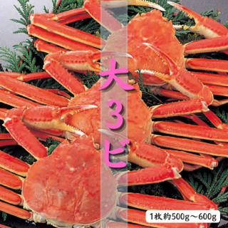 8Ǥ襤 3ӥå