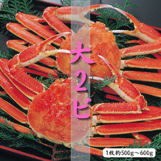 9Ǥ襤 2ӥå