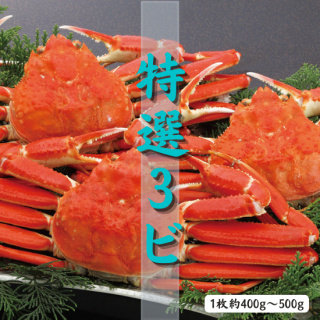 11Ǥ襤 3ӥå