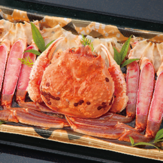 23襤˻Ѥޤ뤴1Ĵѥå