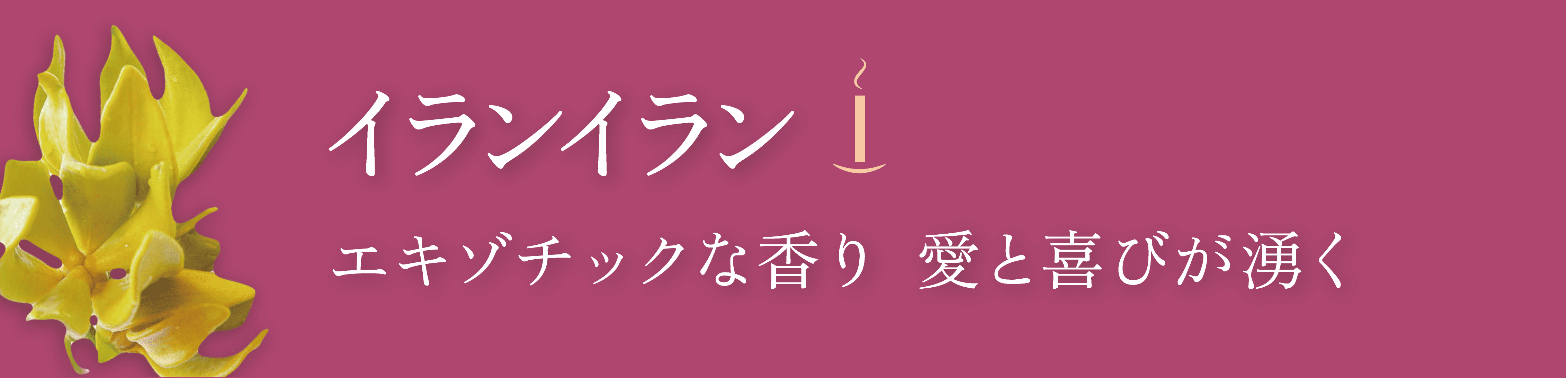 ¥¤¥é¥ó¥¤¥é¥ó¤Î¸«½Ð¤·¤È¥¥ã¥Ã¥Á¥³¥Ô¡¼Ê¸¸À src=