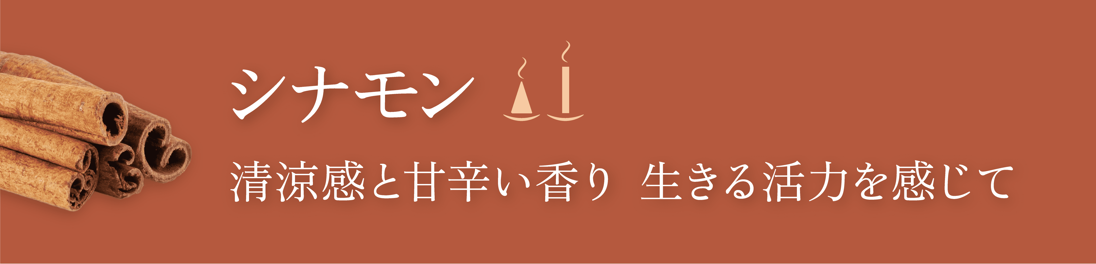¥·¥Ê¥â¥ó¤Î¸«½Ð¤·¤È¥¥ã¥Ã¥Á¥³¥Ô¡¼Ê¸¸À src=