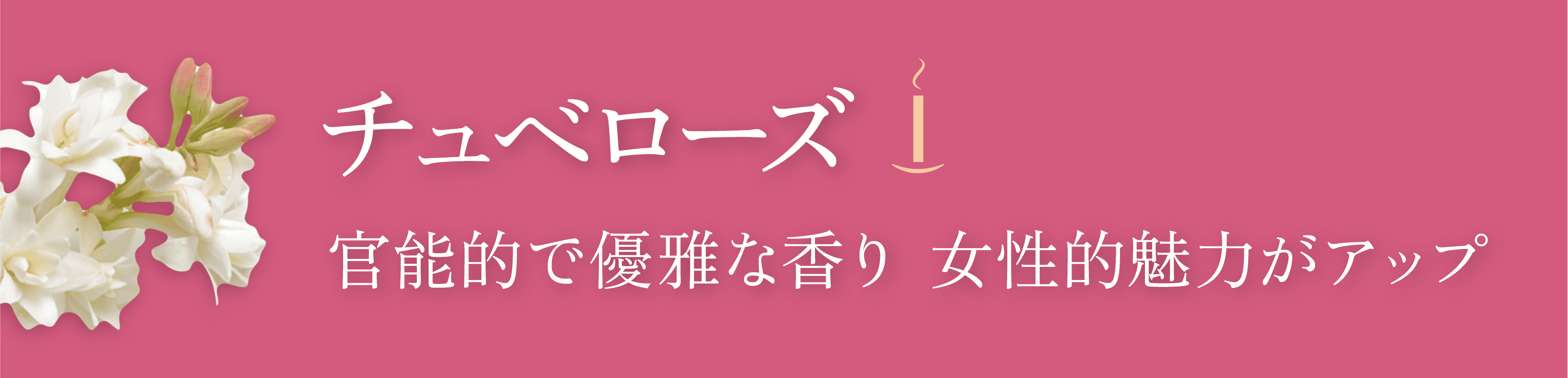 ¥Á¥å¥Ù¥í¡¼¥º¤Î¸«½Ð¤·¤È¥¥ã¥Ã¥Á¥³¥Ô¡¼Ê¸¸À src=